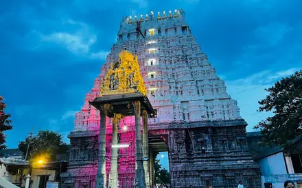 Varadharaja Perumal Temple, W Mada St, Nethaji Nagar, Vishnu Kanchi (Chinna Kanchipuram), Kanchipuram, Tamil Nadu
