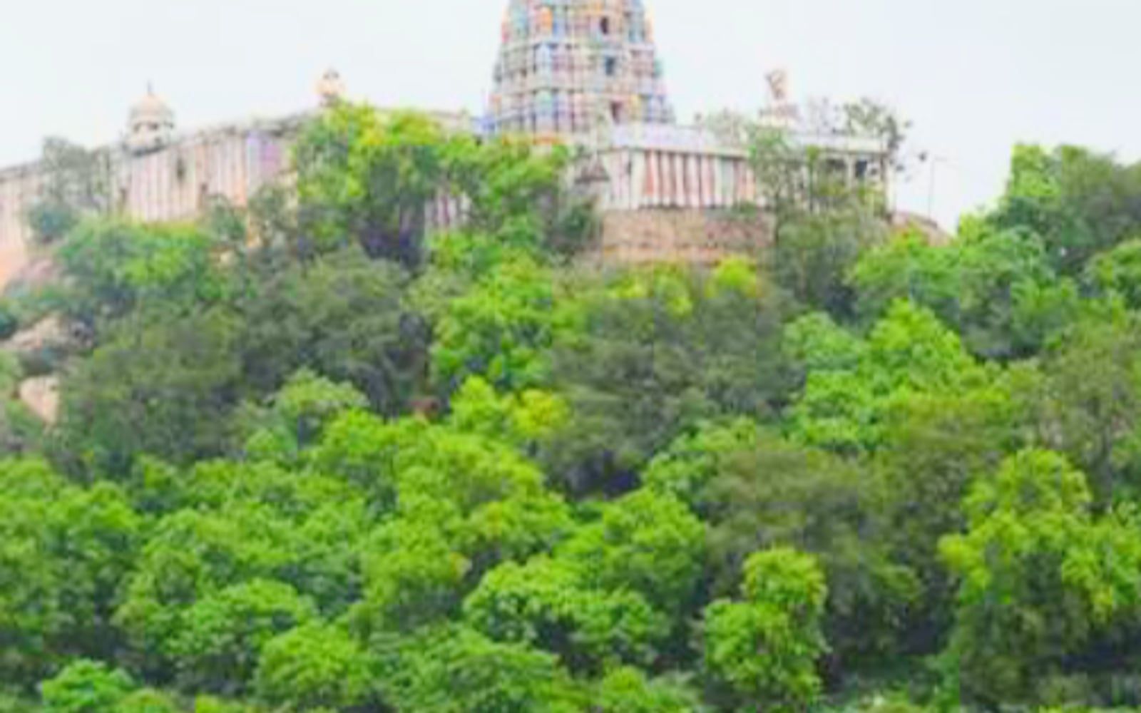 Murugan Temple Viralimalai, Hillock in the heart of Viralimalai town, Viralimalai, Pudukkottai, Tamil Nadu