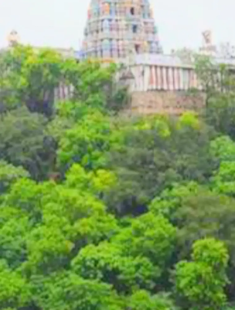 Murugan Temple Viralimalai