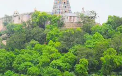 Murugan Temple Viralimalai, Hillock in the heart of Viralimalai town, Viralimalai, Pudukkottai, Tamil Nadu
