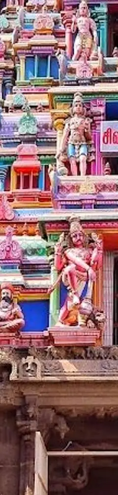 Nellaiappar Temple