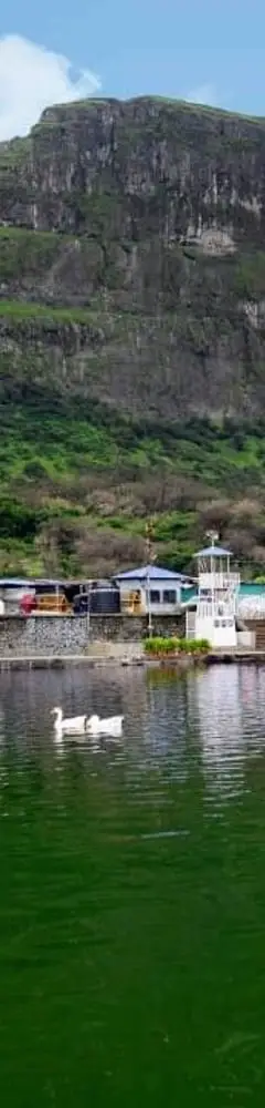 Saptashrungi Devi Temple