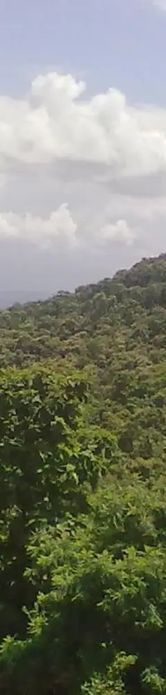 Renuka Devi Temple Mahur