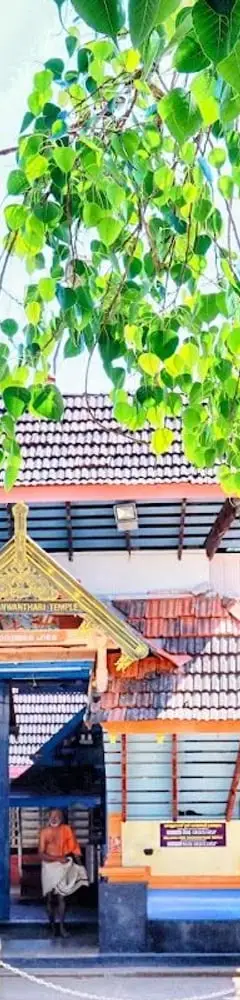 Nelluvaya Dhanwanthari Temple