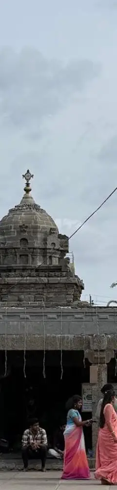 Sri Bhavanarayana Swamy Temple Bapatla