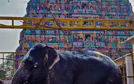 Kumbeswarar Temple, Valayapettai Agraharam, Kumbakonam, Thanjavur, Tamil Nadu