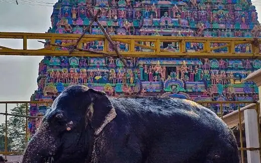 Kumbeswarar Temple, Valayapettai Agraharam, Kumbakonam, Thanjavur, Tamil Nadu