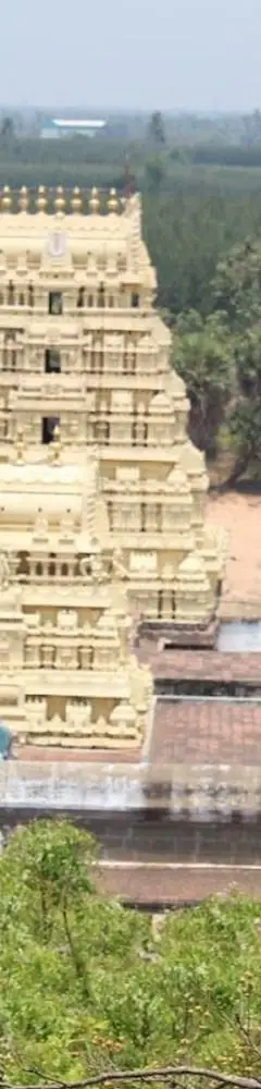 Thiruvahindrapuram Devanatha Perumal Temple
