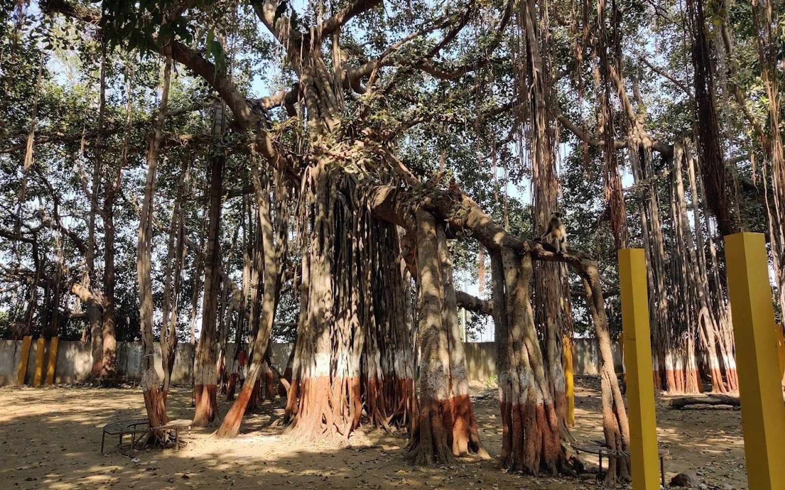 Kabirvad Temple, Kabirvad Island, near Shuklatirth, Bharuch, Gujarat