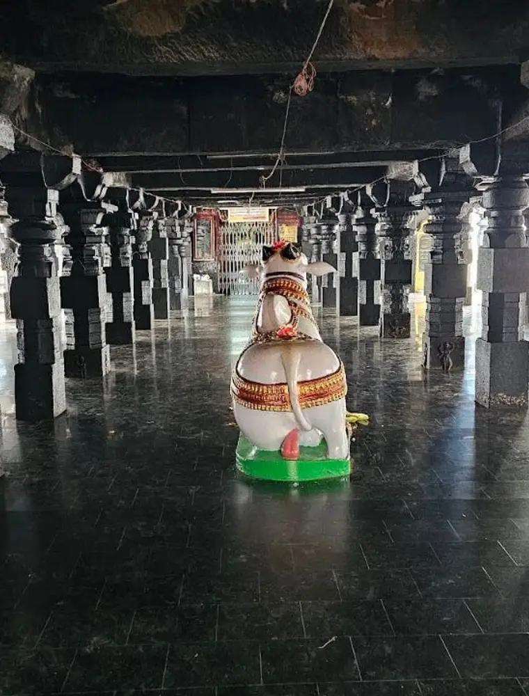Sri Vyaghreswara Swamy Temple Palivela