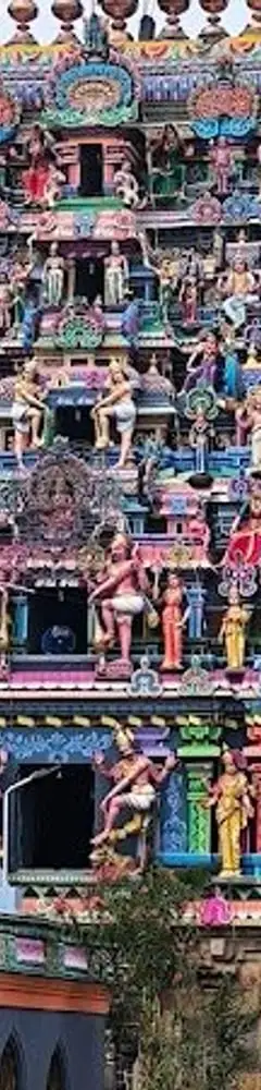 Nagapattinam Kayarohana Swami Temple