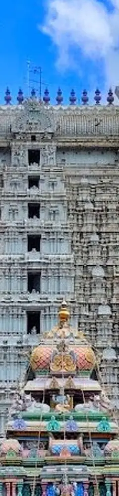Tiruvannamalai Annamalayar Temple