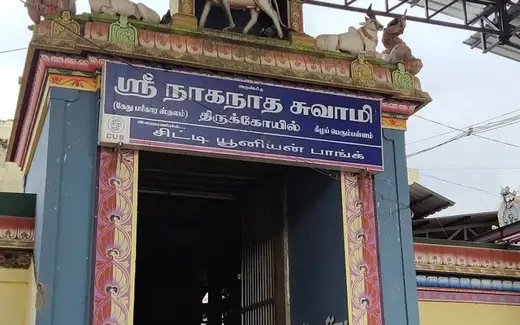 Keezhperumpallam Naga Temple, Vanagiri, Keezhperumpallam, Nagapattinam, Tamil Nadu