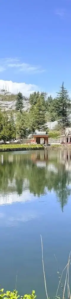 Tani Jubbar Nag Temple