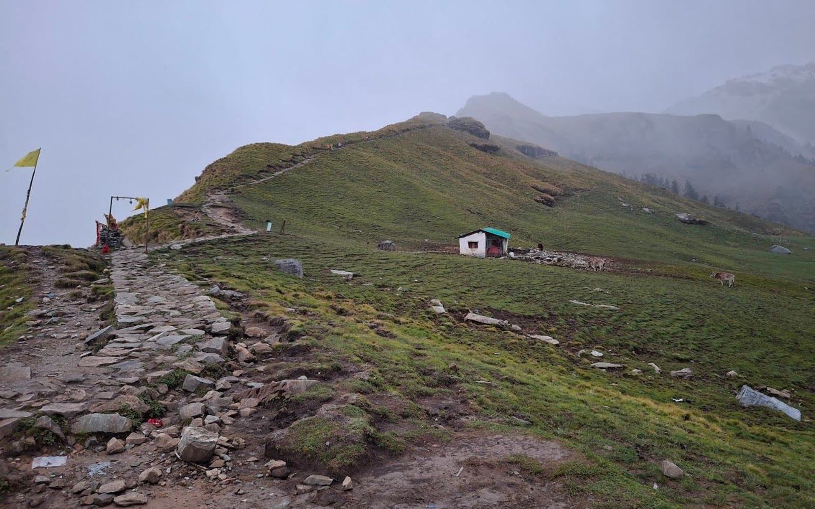 Rudranath Temple (Panch Kedar), High-altitude alpine meadows, Garhwal Himalayas (near Panar Bugyal and Vaitarani stream), Gopeshwar, Chamoli, Uttarakhand