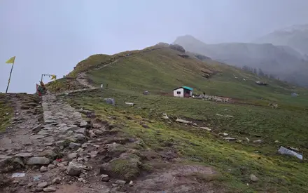 Rudranath Temple (Panch Kedar), High-altitude alpine meadows, Garhwal Himalayas (near Panar Bugyal and Vaitarani stream), Gopeshwar, Chamoli, Uttarakhand