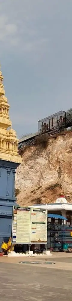 Sri Lakshmi Narasimha Swami Temple Vedadri