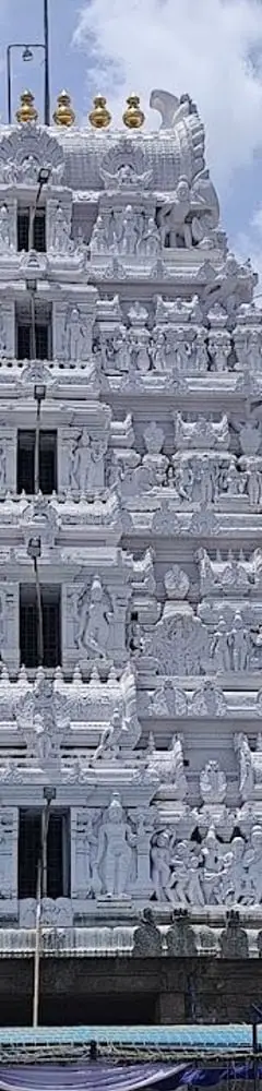 Sri Venugopala Swamy Temple Karvetinagaram