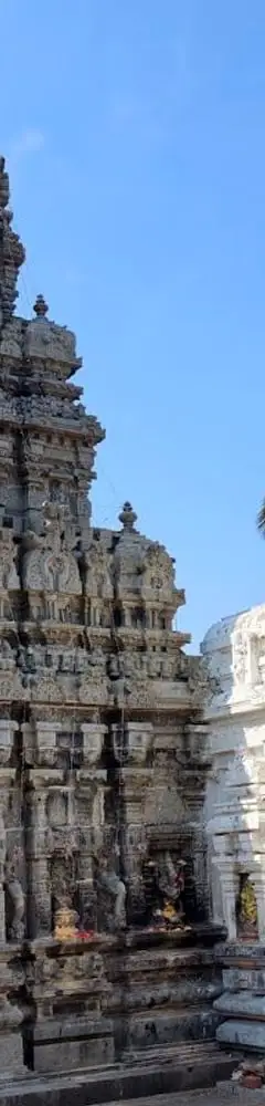 Sri Kurmam Kurmanatha Temple