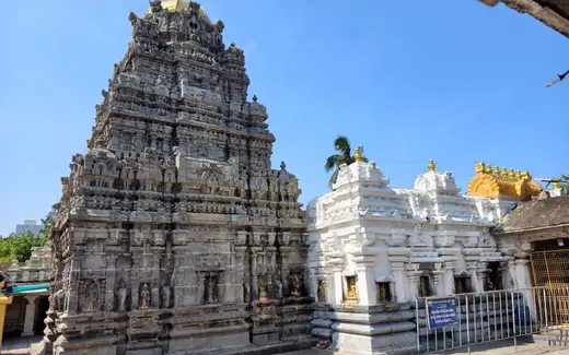 Sri Kurmam Kurmanatha Temple, Gara Mandal, Srikurmam, Srikakulam, Andhra Pradesh